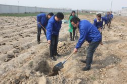World Arbor Day：Protecting our environment start from the minor matters