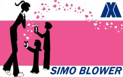 Let our love bloom